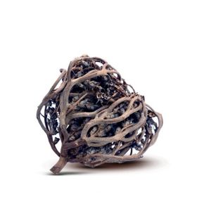 Rose de Jericho (Shajarat Maryam) 20g - 100% Naturelle - Nigelle Source Nigelle Source - 1