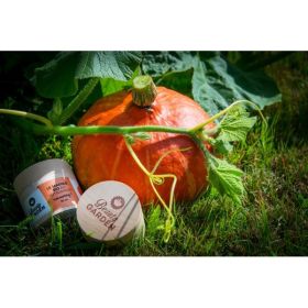 Masque Bio Cocooning Au Potimarron - 50 ml - Beauty Garden