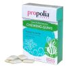 Chewing-gum Propolis & Menthe (Made in France) - Propolia