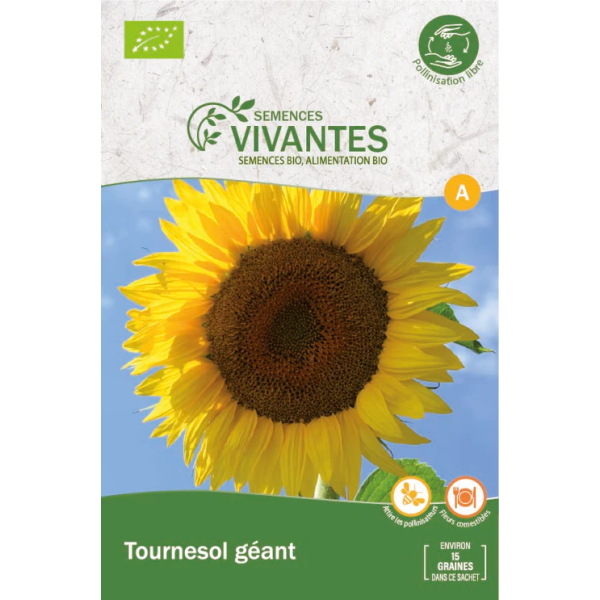 Graines de Tournesol Géant Bio - Sachet de 15 grains à planter - Semences Vivantes