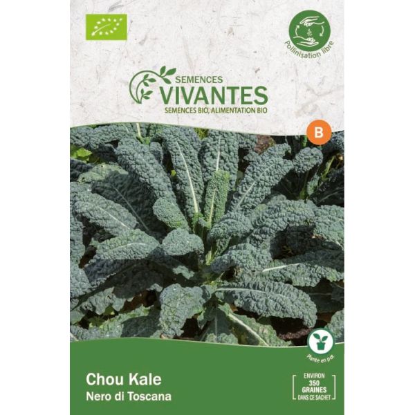 Graines de Chou Kale Bio (Nero di Toscana) - Sachet de 350 graines à planter - Semences Vivantes